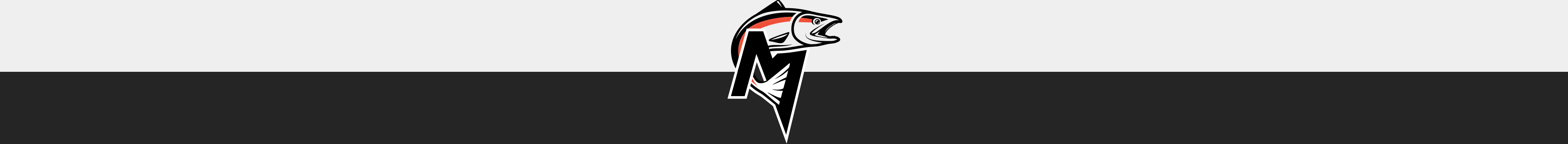 4000×367-logo_divider-footer_gray-M